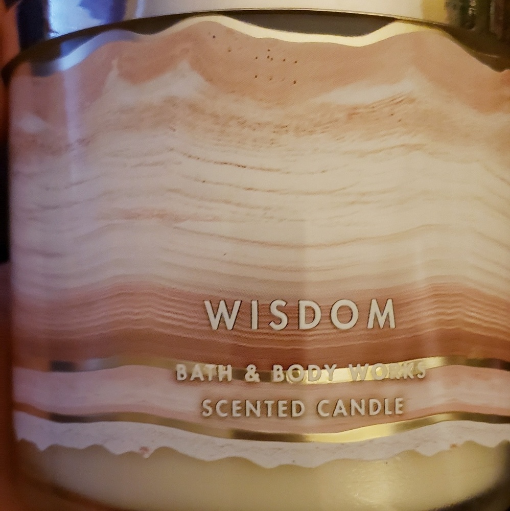 Bath and Body Works "Wisdom" 3 wick candle